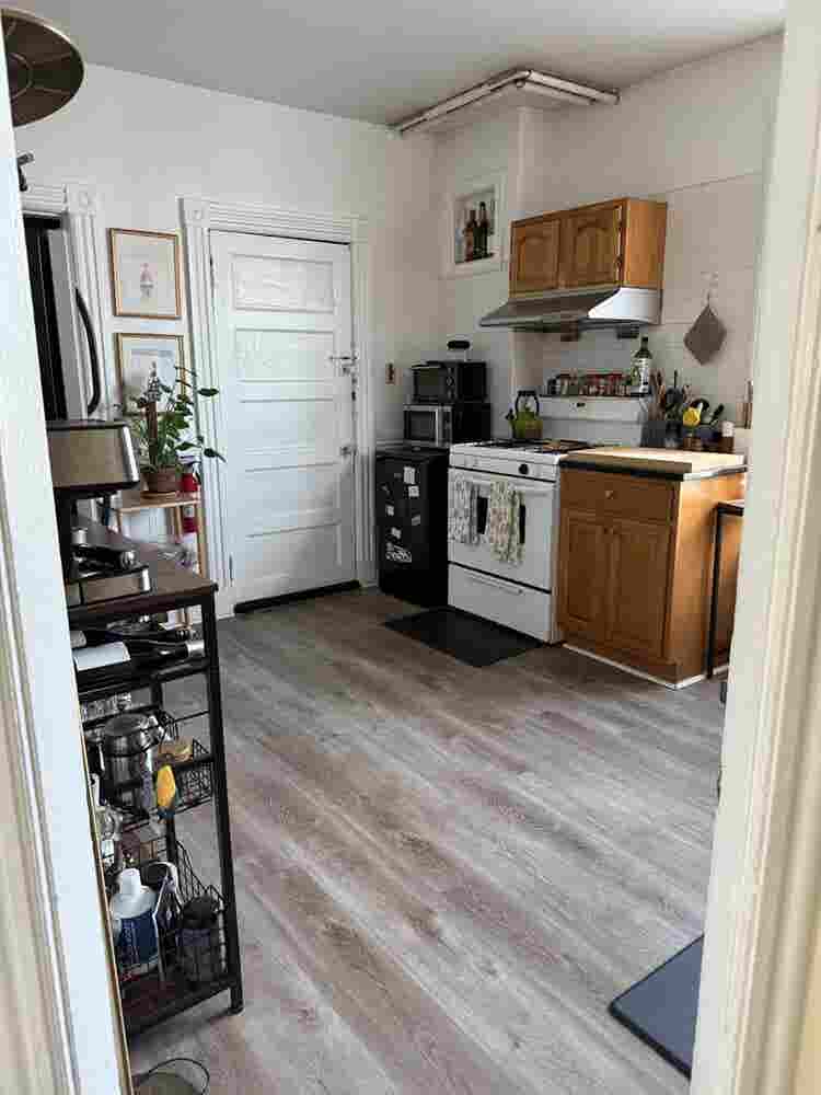 Spacious Apt - Room Available!