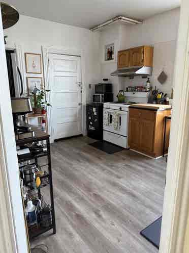 Spacious Apt - Room Available!