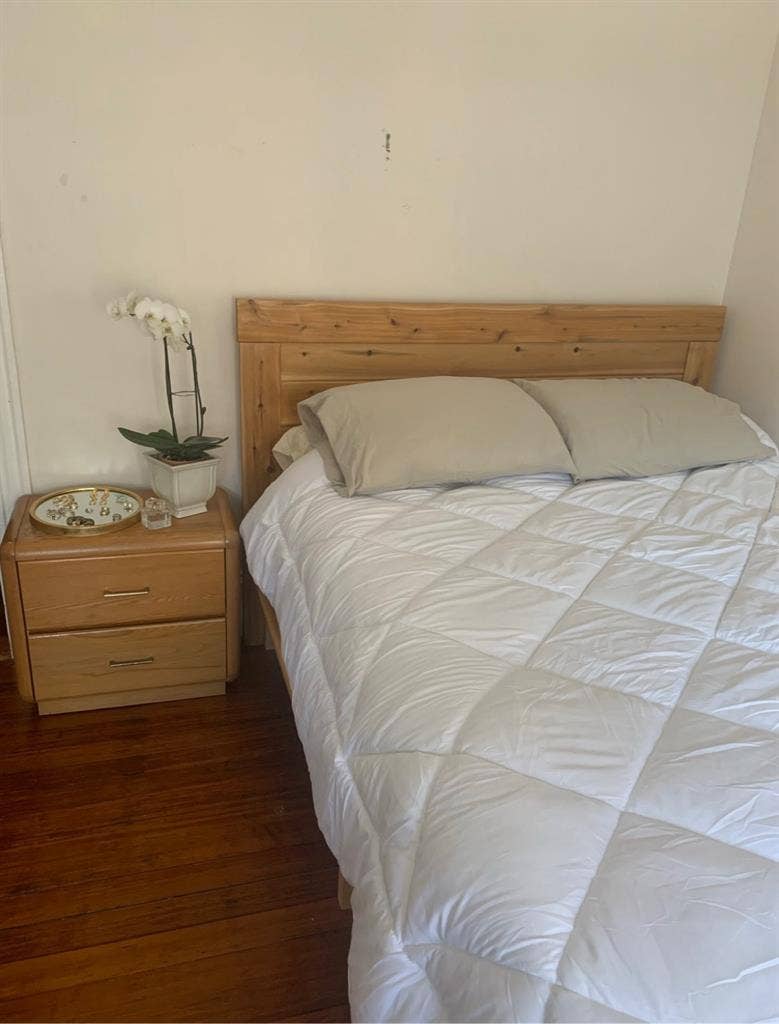 Spacious Apt - Room Available!