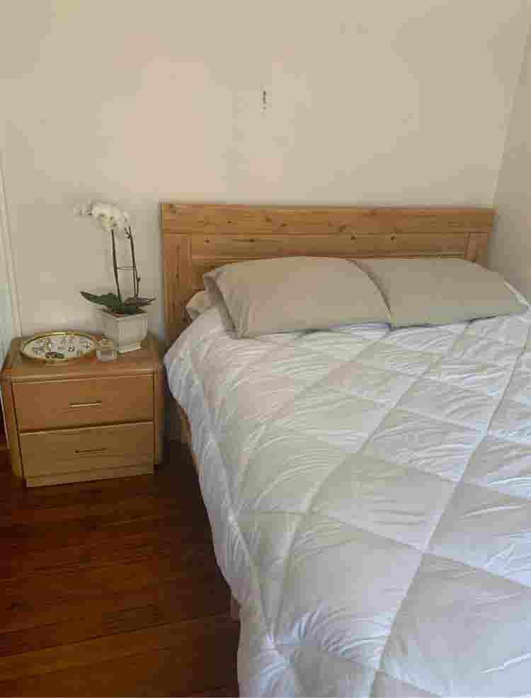Spacious Apt - Room Available!
