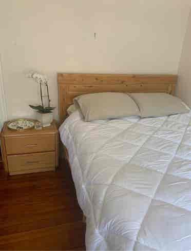 Spacious Apt - Room Available!