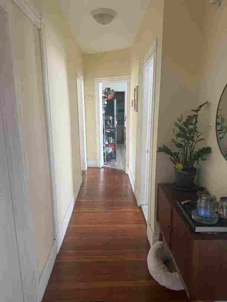 Spacious Apt - Room Available!