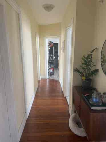 Spacious Apt - Room Available!