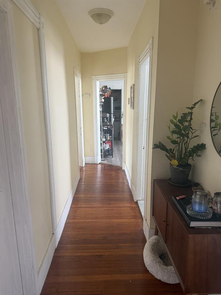 Spacious Apt - Room Available!