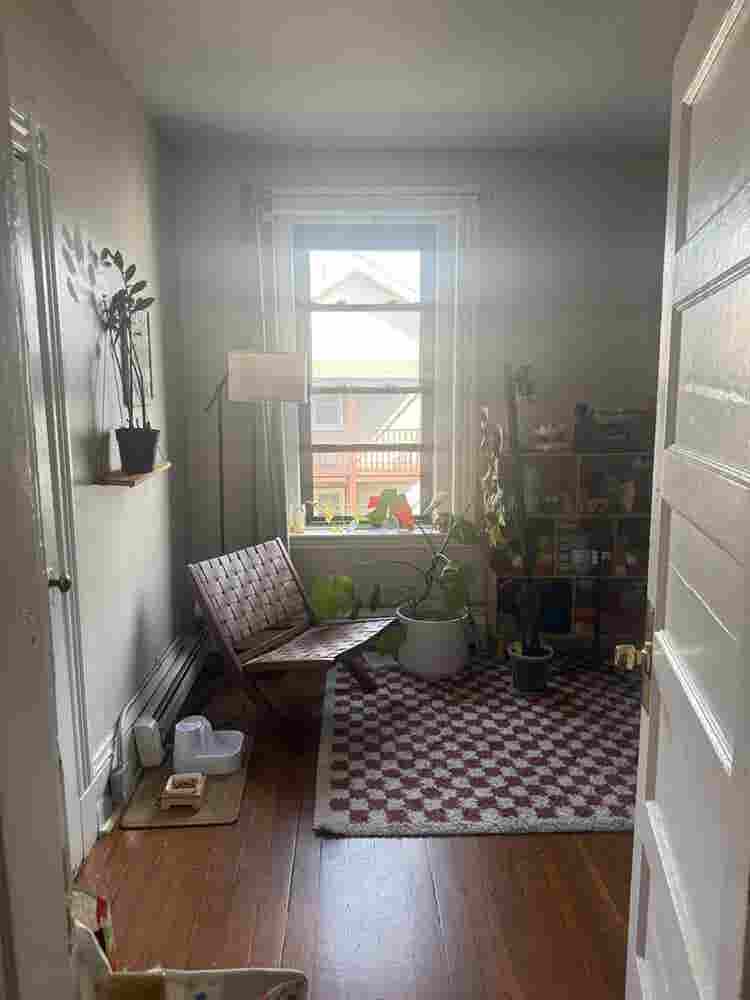 Spacious Apt - Room Available!
