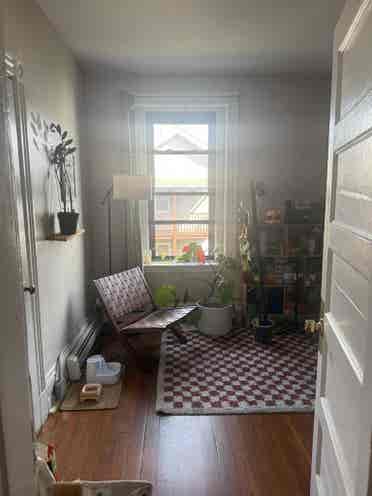 Spacious Apt - Room Available!