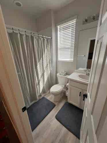 Seeking a female roommate!
