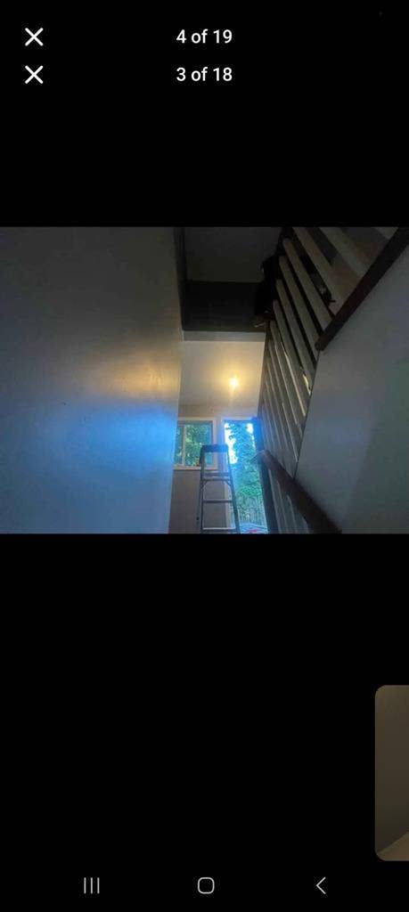 Looking for roommate