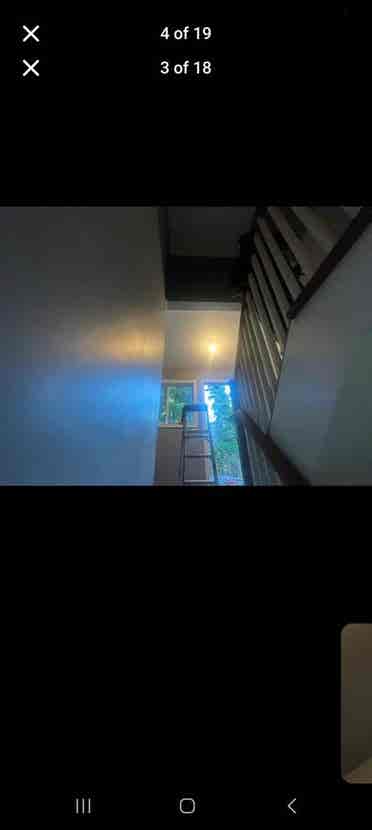 Looking for roommate