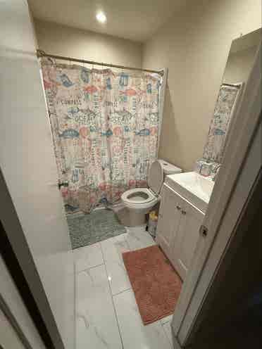 Looking for responsible roommates