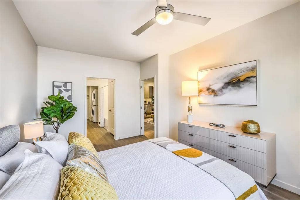 3 Bedroom Available in Nov