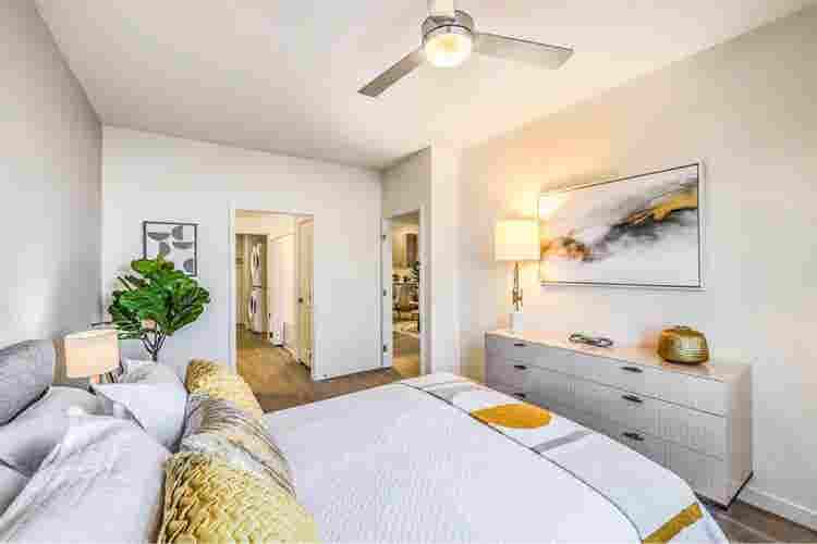 3 Bedroom Available in Nov