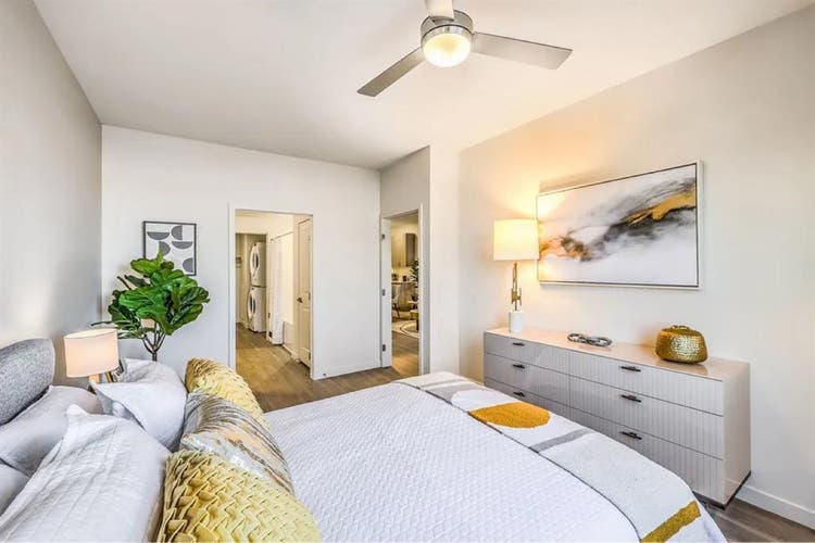 3 Bedroom Available in Nov