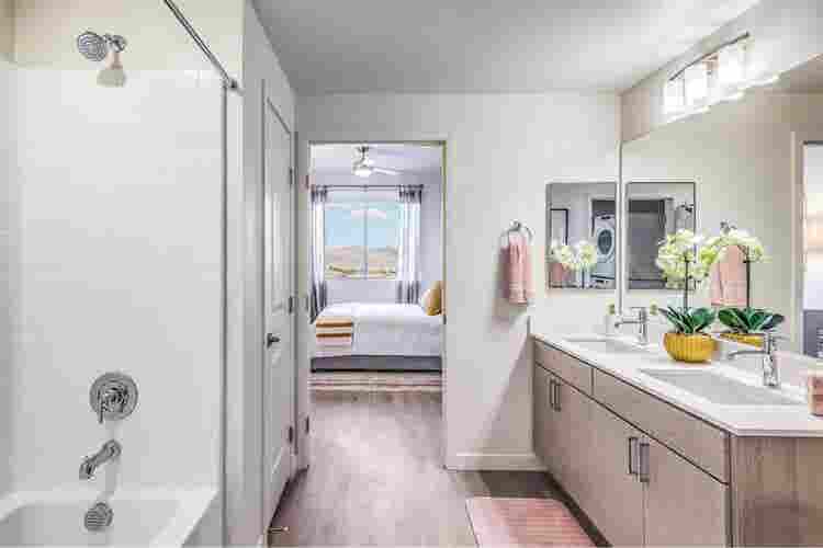 3 Bedroom Available in Nov