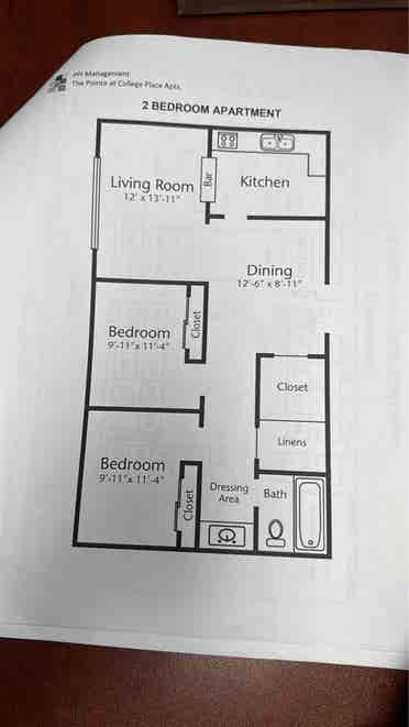 Looking for a roommate $