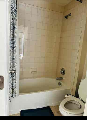 Beautiful house for Rent