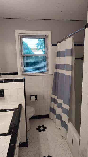 Roommate Wanted