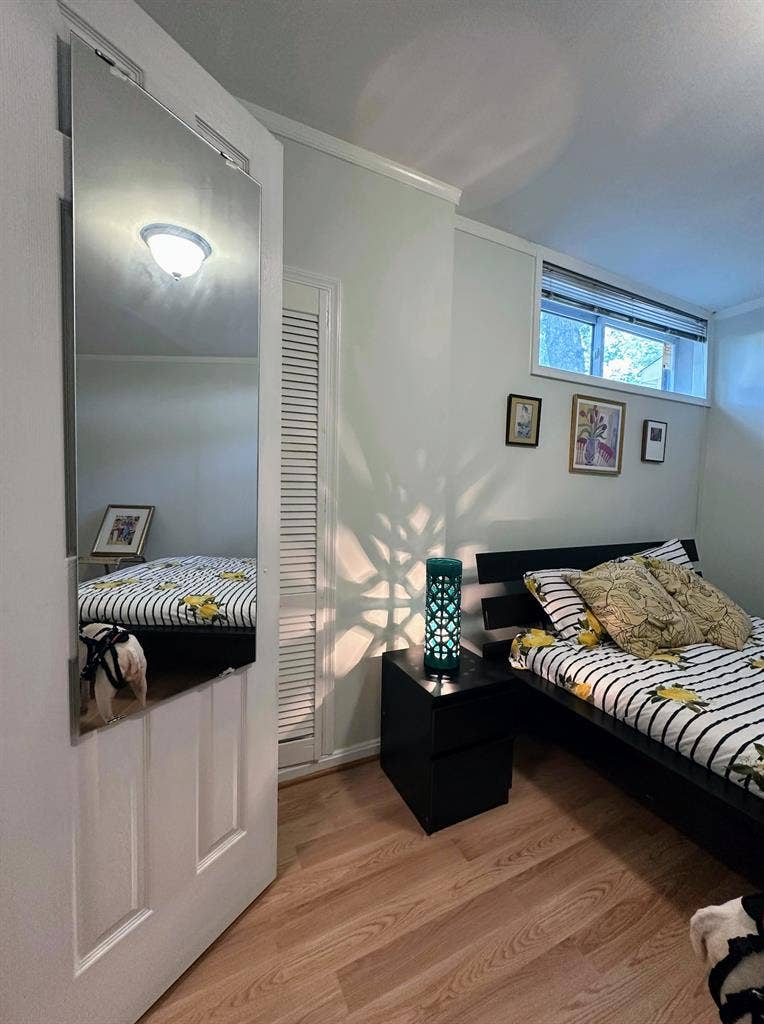 Private Room in sunlit basement