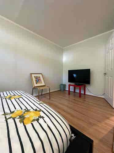 Private Room in sunlit basement