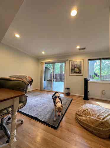 Private Room in sunlit basement