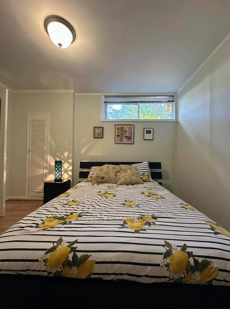 Private Room in sunlit basement