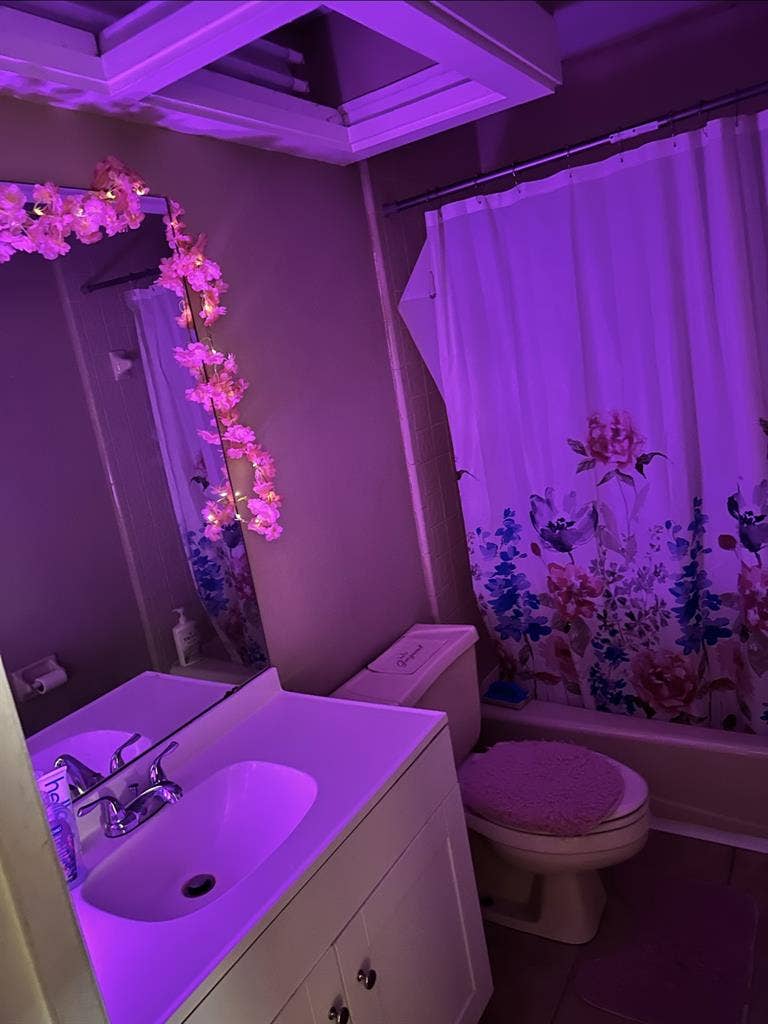 Seeking roommate - great space