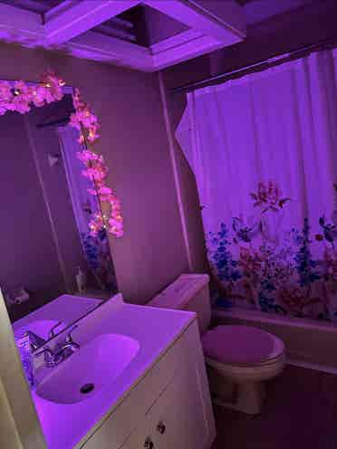 Seeking roommate - great space