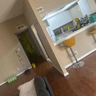 Seeking roommate - great space