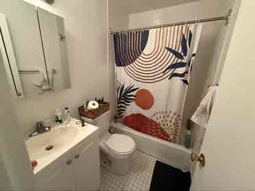 UES 1 Bedroom, whole place, clean!