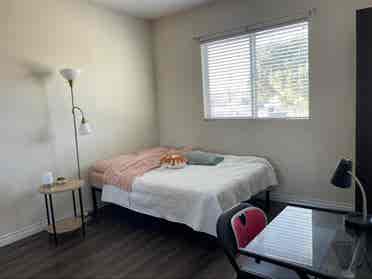 Looking for female roommate