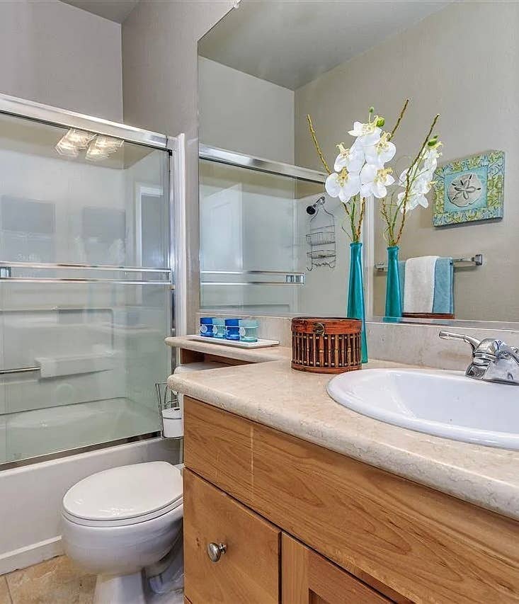 Looking for a Professional Roommate