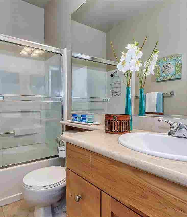 Looking for a Professional Roommate