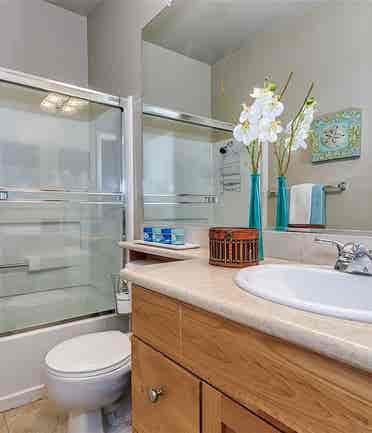 Looking for a Professional Roommate