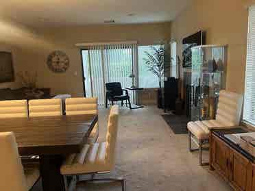 Looking for a Professional Roommate