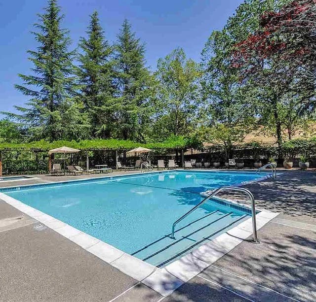 Looking for a Professional Roommate