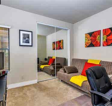 Looking for a Professional Roommate