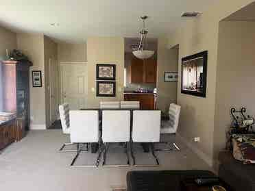 Looking for a Professional Roommate