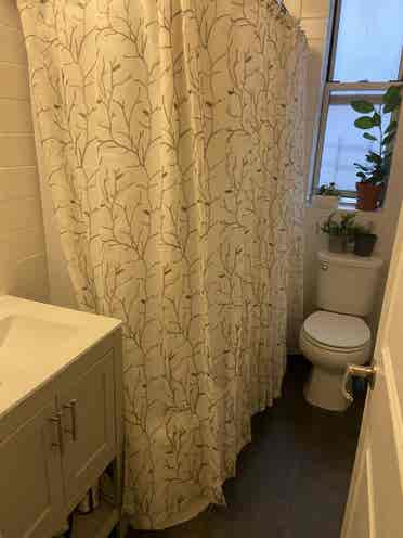 Spacious Furnished Room