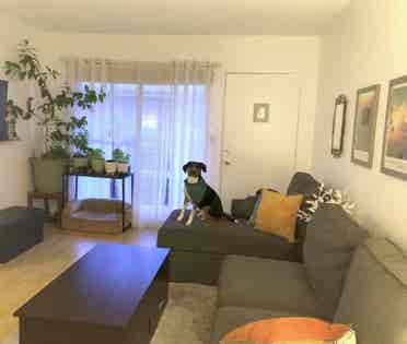 Venice Beach 1BR Apt —Walk to Beach