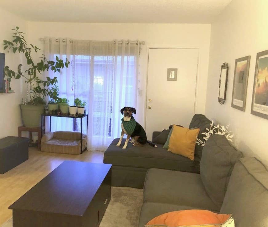 Venice Beach 1BR Apt —Walk to Beach