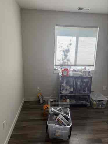 Room for rent