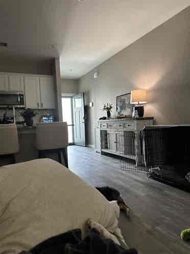 $/month all inclusive bed/bath