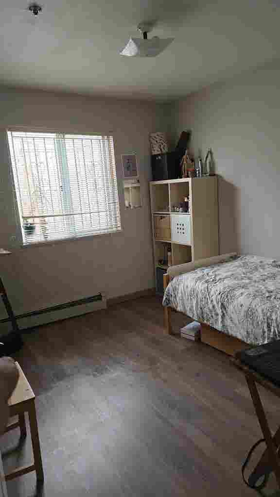 Room for August