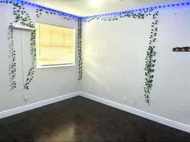 Room for rent!