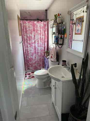Roommate Wanted For August Sublet