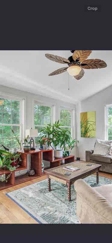 Room in large house, Brickyard Mt P