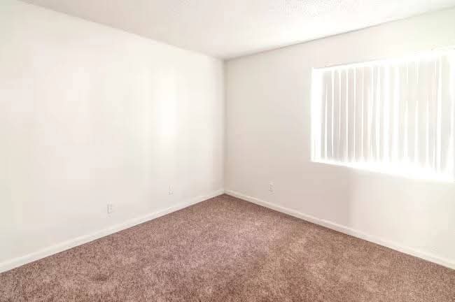 Looking for a Female roommate