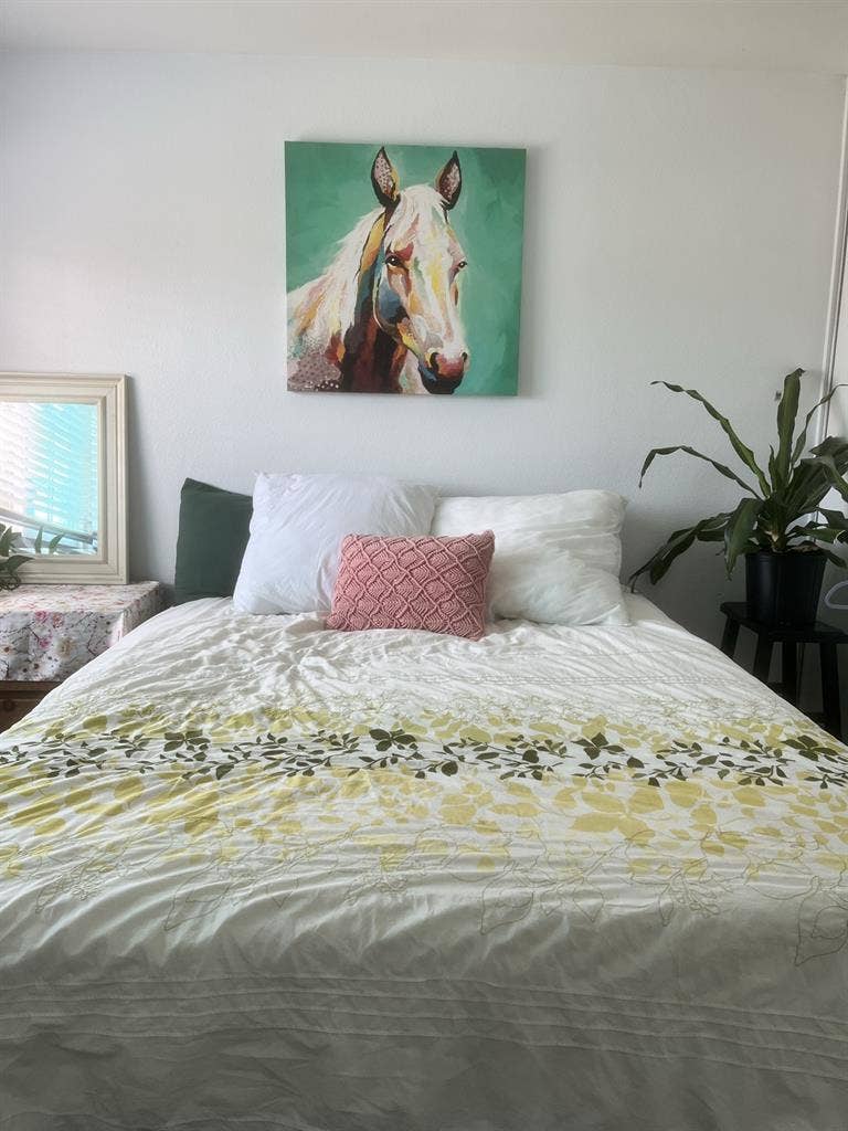 Furnished room for rent San Marcos