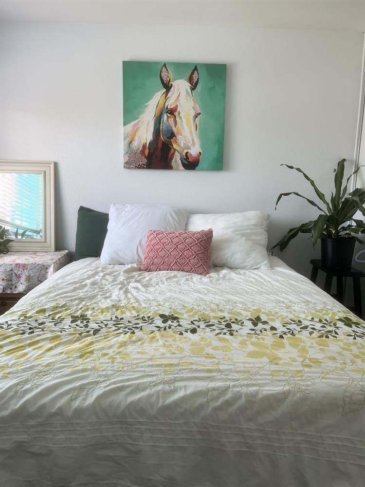 Furnished room for rent San Marcos