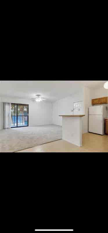 Condo Master Bedroom!